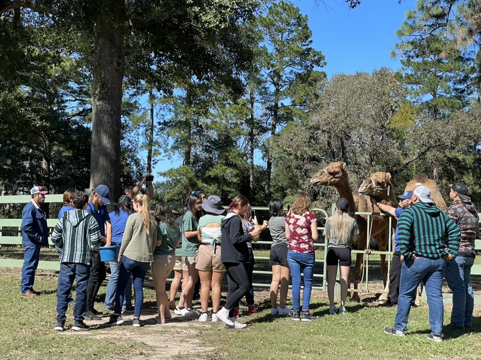 East Texas Elephant Experience