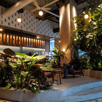 Devoción - Beautiful cafe! - Coffee & Tea Near Me - Brooklyn, New York