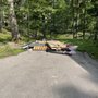 VP Hauls
