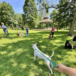Humane Society of the Ohio Valley
