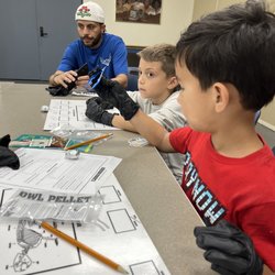 Ralph Ellison Library - Owl pellet class