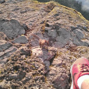 Rattlesnake Ridge - adorable - Hiking Near Me Rattlesnake Ridge - adorable - Hiking Near Me
