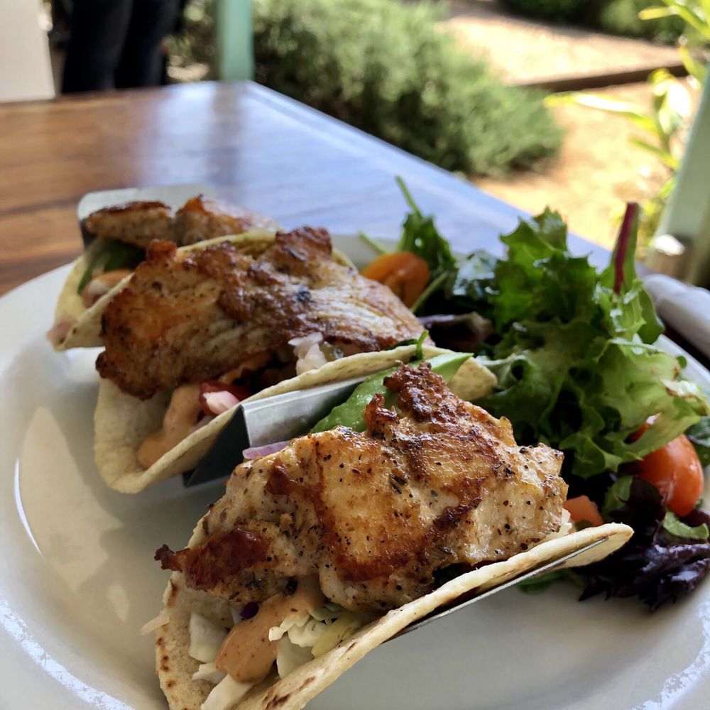 Cenote - Catfish tacos - Coffee & Tea Near Me - Austin, Texas