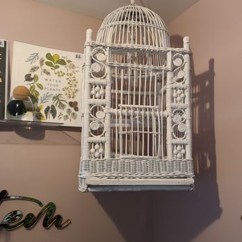 Stem Rochester - Why does the caged bird sing ? Wait,  there is no bird - Nurseries & Gardening Near Me - Rochester, New York