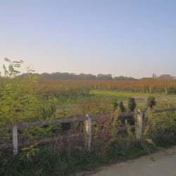 Château Luchey Halde