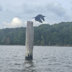 Mallows Bay Park