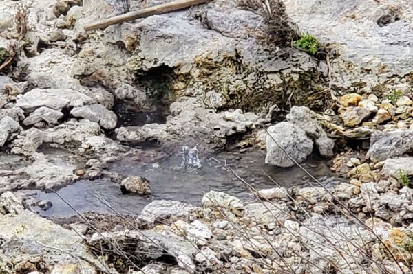 Te Puia - Rotorua, NZ by null