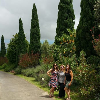 Ali'i Kula Lavender - Tours Near Me - Kula, Hawaii Ali'i Kula Lavender - Tours Near Me - Kula, Hawaii