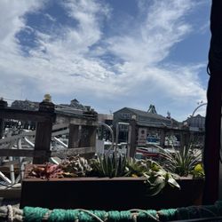 Views