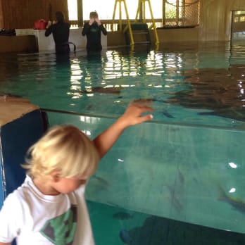 Florida Keys Aquarium Encounters - Great views for little ones - Aquariums Near Me - Marathon, Florida