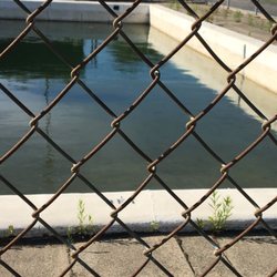 The Belmont Motel - Disgusting pool and unmowed grass
