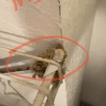 AC Electric - Electricians Near Me - Boca Raton, Florida AC Electric - Electricians Near Me - Boca Raton, Florida