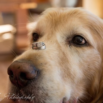 Edge-E Photography - Session Photography Near Me