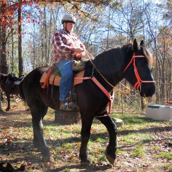 Blue Moon Acres - Stroker - Horseback Riding Near Me - Laurelville, Ohio Blue Moon Acres - Stroker - Horseback Riding Near Me - Laurelville, Ohio