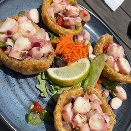 Tostones with octopus. (Not recommended. It was really plain) Tostones with octopus. (Not recommended. It was really plain)