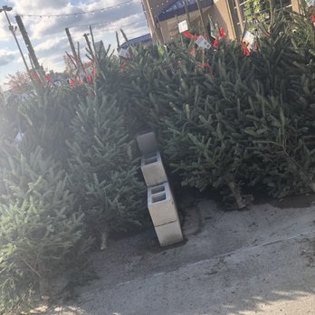 Lowe's Home Improvement - Real Christmas trees - Hardware Stores Near Me - Florence, South Carolina