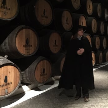Sandeman - Beginning of the Classic tour - Wineries Near Me - Vila Nova de Gaia, 13