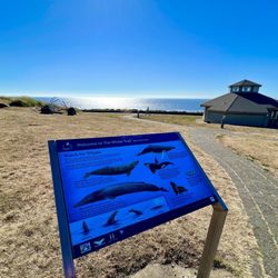 City of Newport - Another park along the trails around Nye Beach all about whales!!