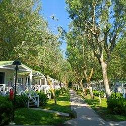 Villaggio Turistico Isamar - Viale casa mobile 6 posti