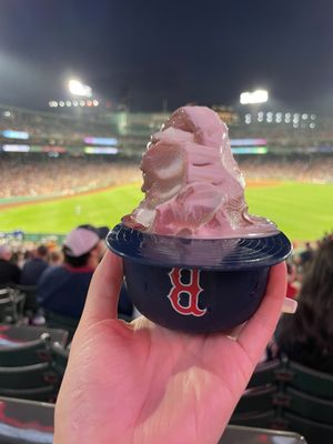 Fenway Park by null