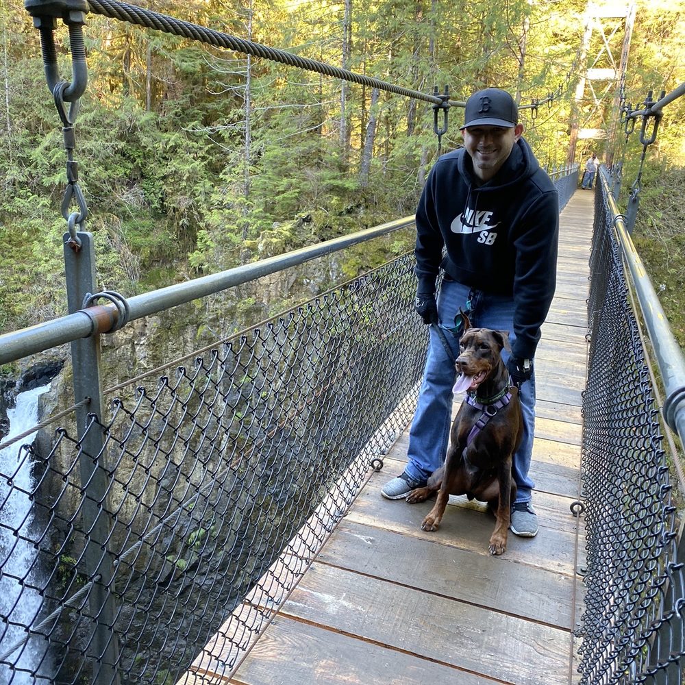 Drift Creek Fall And Bridge - Dog friendly hike - Hiking Near Me - Otis, Oregon Drift Creek Fall And Bridge - Dog friendly hike - Hiking Near Me - Otis, Oregon