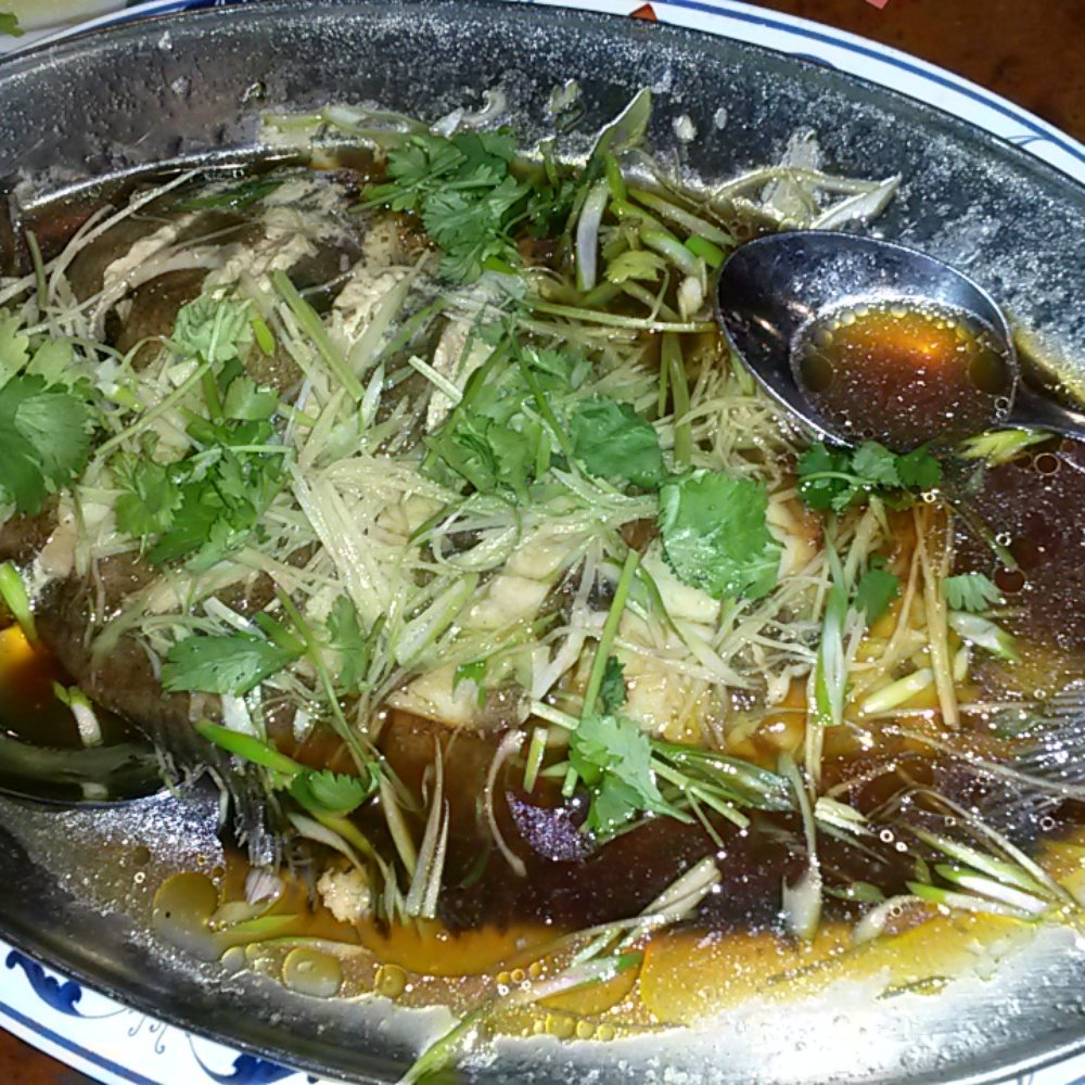 Little Dragons Chinese Restaurant - Steamed whole fish. Tasty. $20.95 - Chinese Near Me - Columbus, Ohio Little Dragons Chinese Restaurant - Steamed whole fish. Tasty. $20.95 - Chinese Near Me - Columbus, Ohio