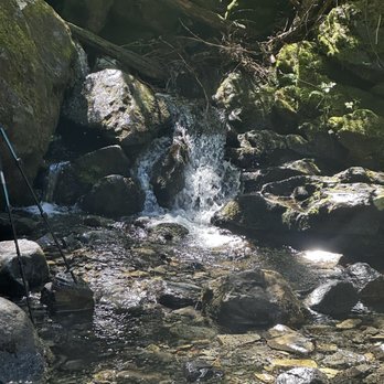 lodge lake Trail - Mini waterfall - Hiking Near Me