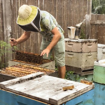 Big Island Bees - Honey Near Me - Captain Cook, Hawaii Big Island Bees - Honey Near Me - Captain Cook, Hawaii