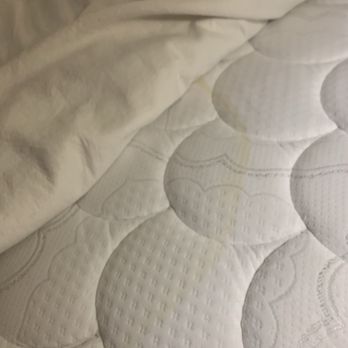 Best Western Plus Meridian - Stains mattress - Hotels Near Me - Meridian, Idaho Best Western Plus Meridian - Stains mattress - Hotels Near Me - Meridian, Idaho