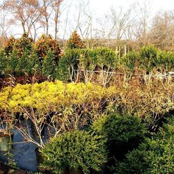 Greenway Nursery