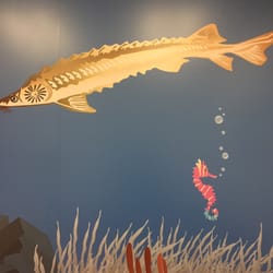 Colorado Kids Pediatrics