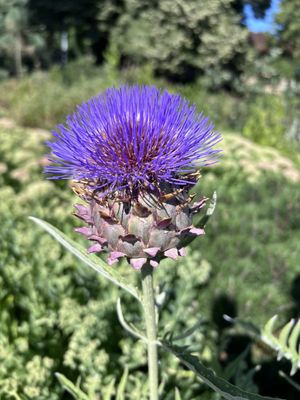 Peninsula Park by null