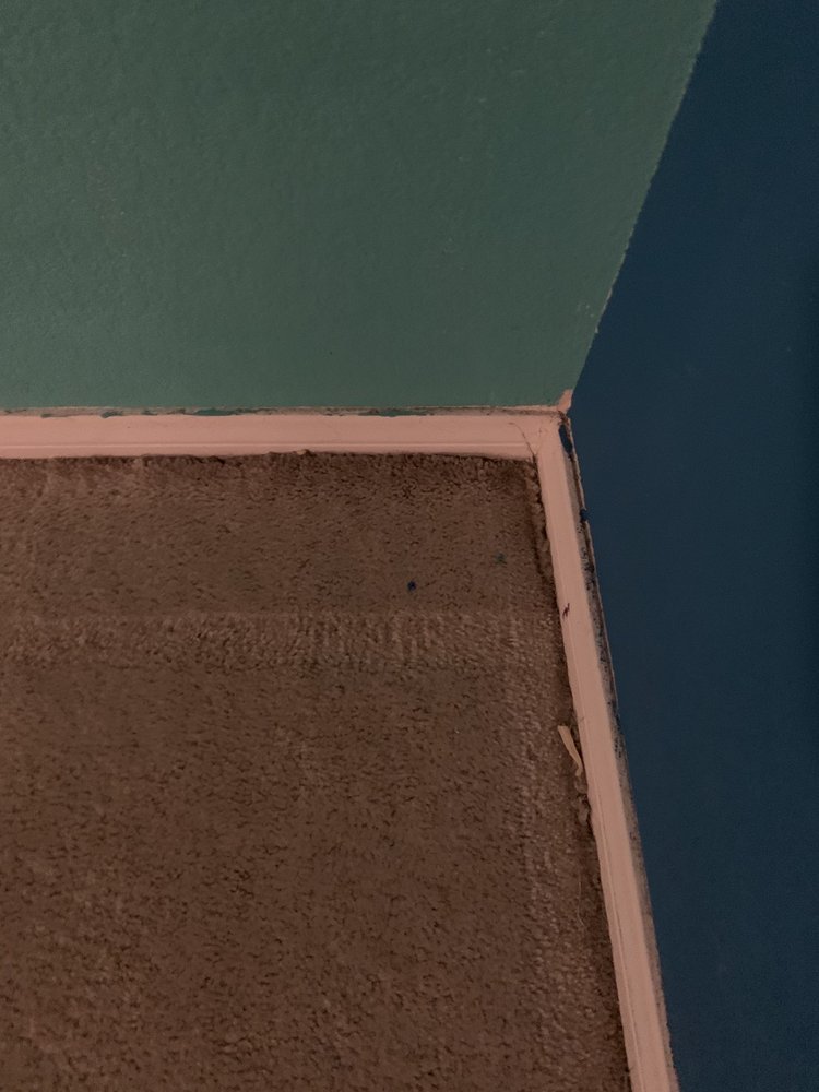 WE CLEAN CARPETS 39 Photos & 44 Reviews Las Vegas, Nevada Carpet