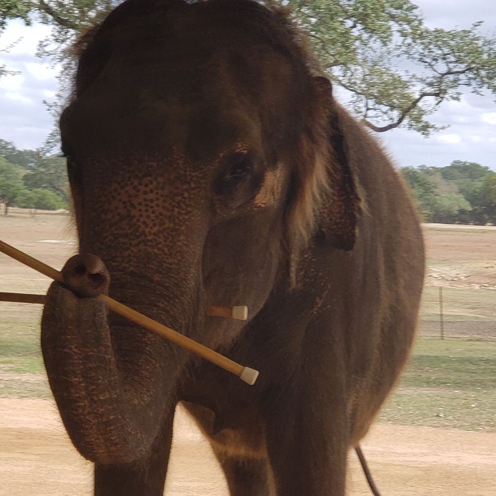 The Preserve - Zoos Near Me - Fredericksburg, Texas