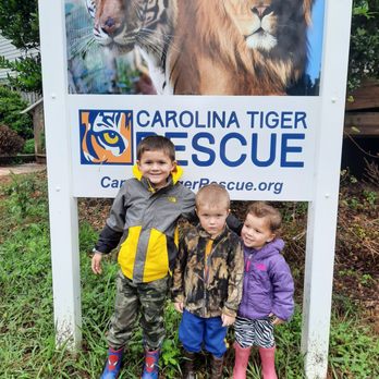 Carolina Tiger Rescue - Animal Shelters Near Me - Pittsboro, North Carolina Carolina Tiger Rescue - Animal Shelters Near Me - Pittsboro, North Carolina