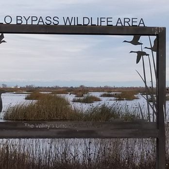 Yolo Bypass Wildlife Area - Hiking Near Me - Davis, California Yolo Bypass Wildlife Area - Hiking Near Me - Davis, California