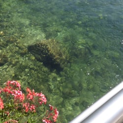 Mercedesbrücke - Glasklares Wasser unter der Brücke