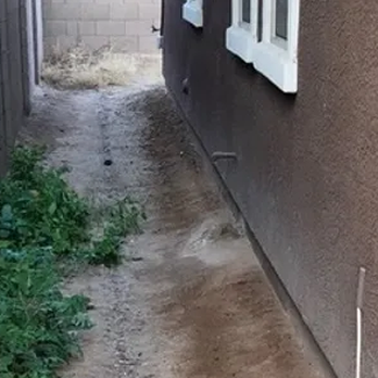 The Dogpile Duty - After! - Pet Waste Removal Near Me The Dogpile Duty - After! - Pet Waste Removal Near Me