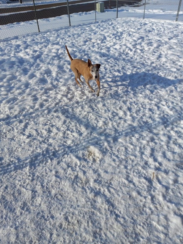 DIGGS PLAYHOUSE Updated August 2024 115 E Anderson St, Idaho Falls