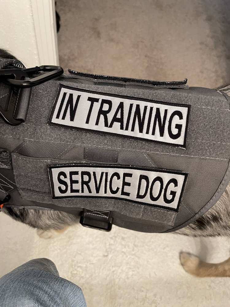 EDDIE’S ALTERATIONS Updated September 2024 20 Reviews 5867 Adobe