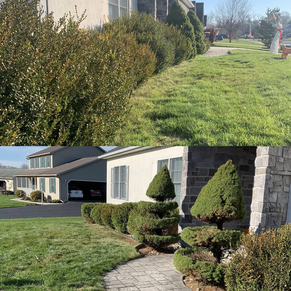 Karaki Landscaping - tree service in Harrisburg, PA