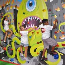 Fitwize 4 Kids - Fitwize rock climbing