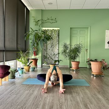 Yin Yang House - Yoga instructor - Acupuncture Near Me - Chattanooga, Tennessee Yin Yang House - Yoga instructor - Acupuncture Near Me - Chattanooga, Tennessee