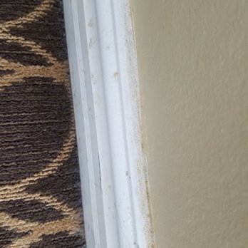 Marin Suites Hotel - Shoe Molding in bedroom - Hotels Near Me - Corte Madera, California