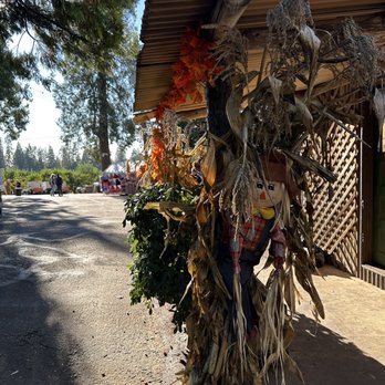 High Hill Ranch - the autumn feels... - Donuts Near Me - Placerville, California High Hill Ranch - the autumn feels... - Donuts Near Me - Placerville, California