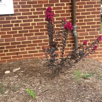 Mount Sydney Safety Rest Area North - love this color - Rest Stops Near Me - Mount Sidney, Virginia