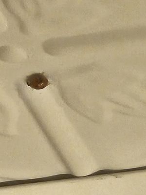 Lowell Inn - Hotel & Restaurant by null