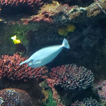 New York Aquarium - Zoos Near Me - Brooklyn, New York