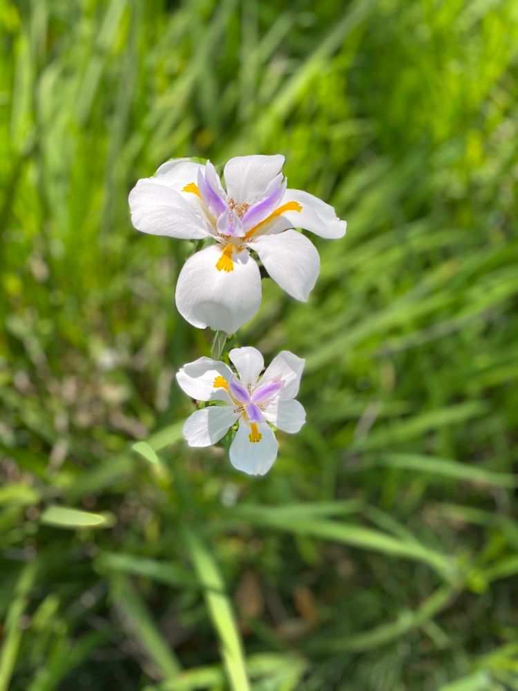 L & J DIESEL SERVICE Updated September 2024 12 Photos & 15 Reviews