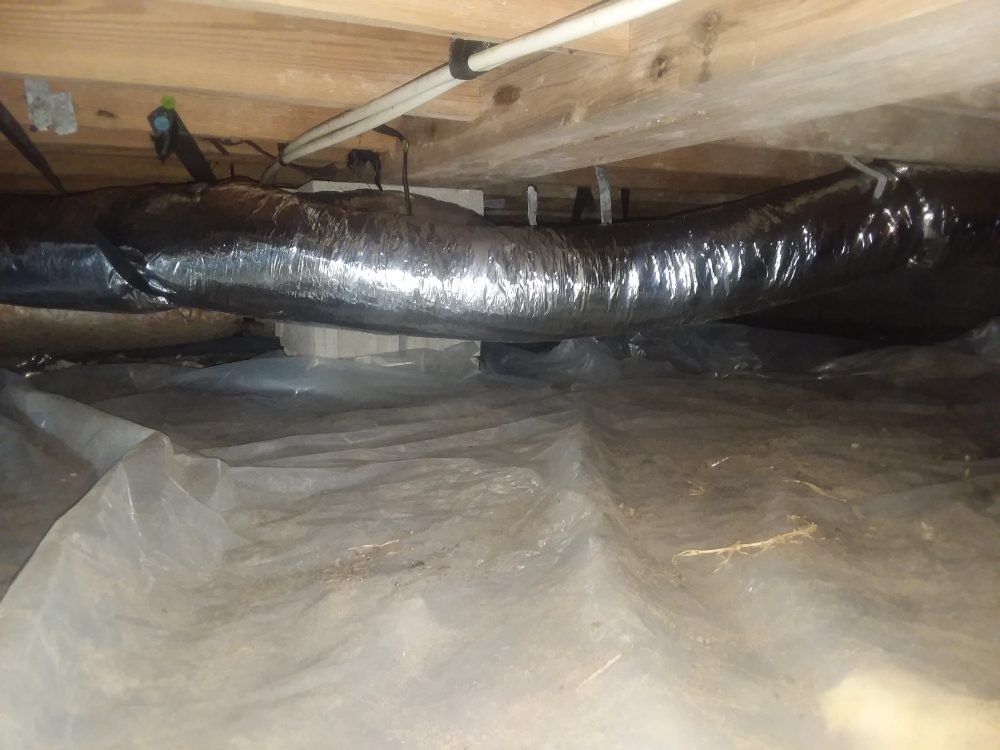 Slide of Carolina handyman and lawn care service